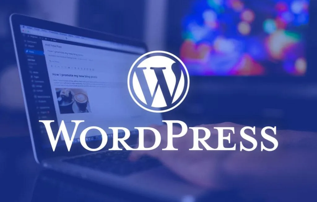 WordPress Uzmanı